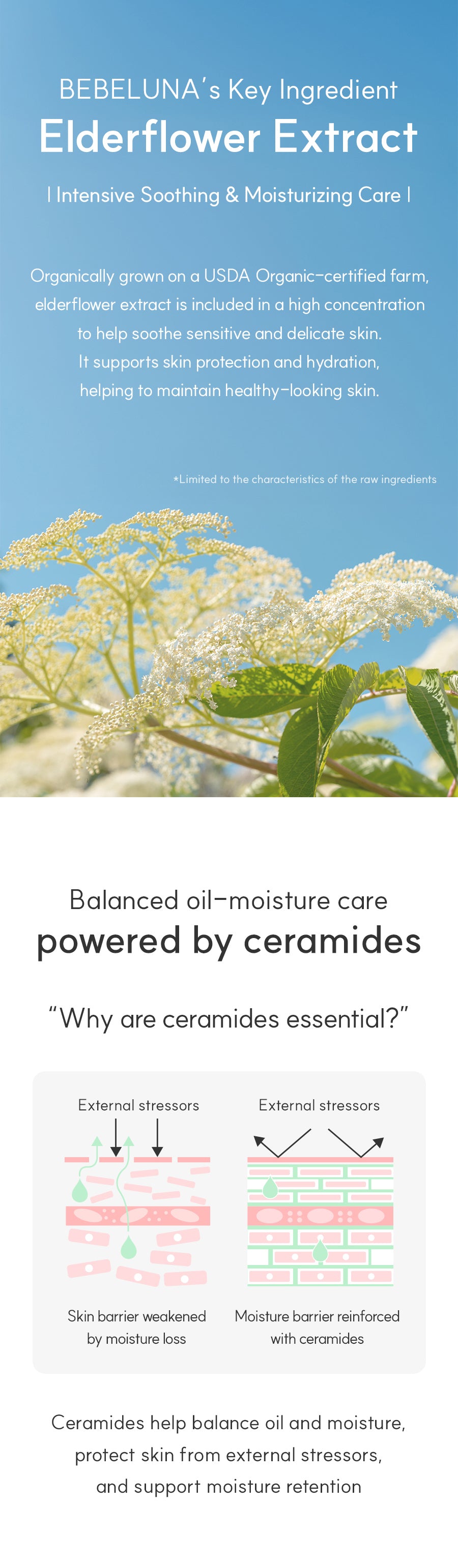 Bebeluna Mild Lotion 200g