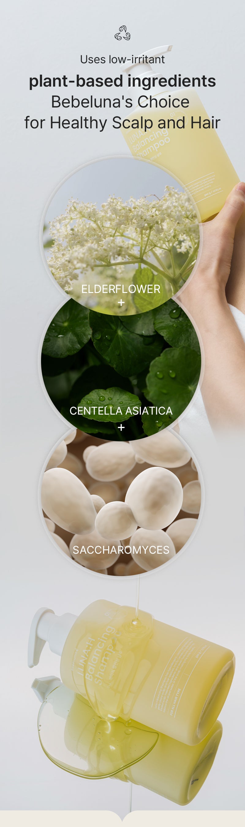 Luna:H Balancing Shampoo 500g