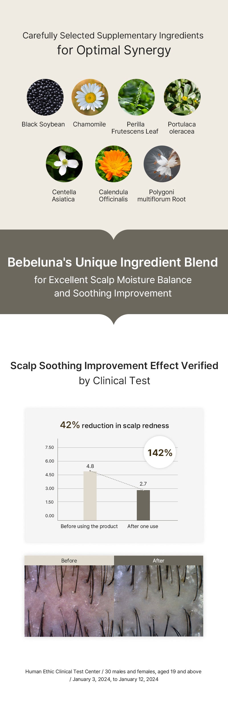 Luna:H Balancing Shampoo 500g
