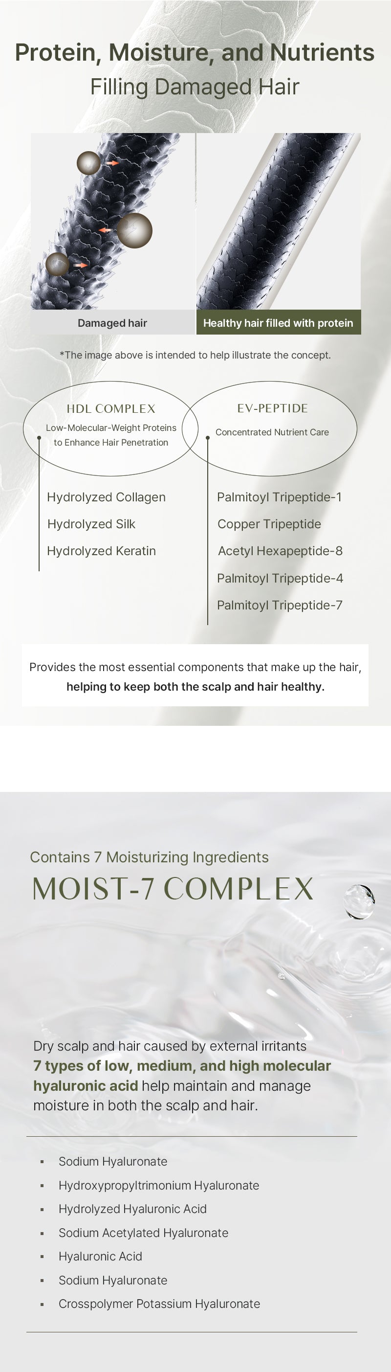 Luna:H Scalp Shampoo 500g