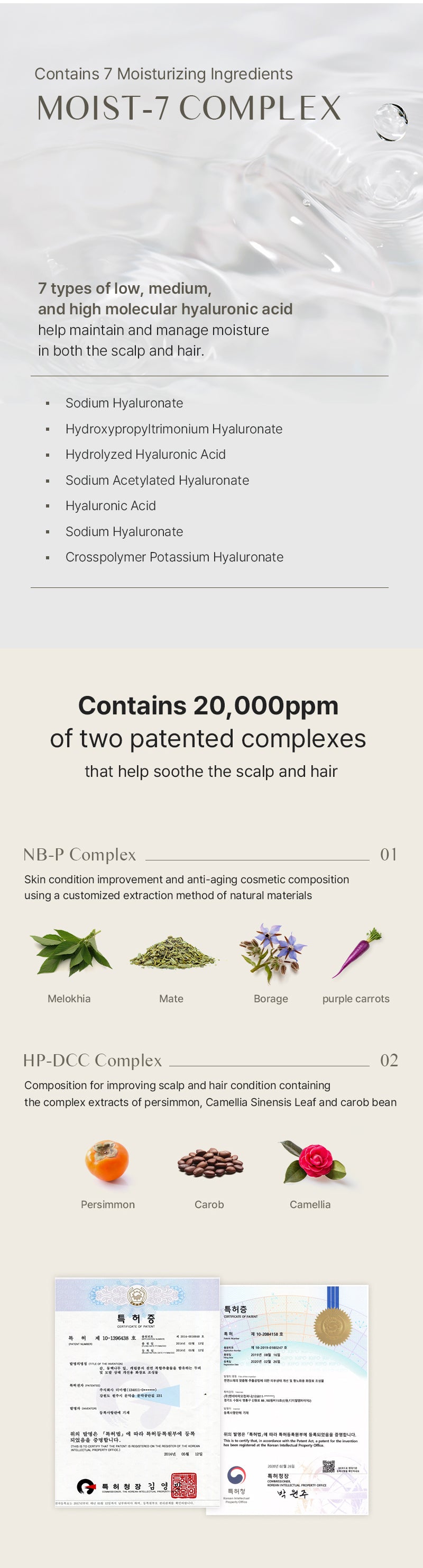 Luna:H Balancing Shampoo 500g